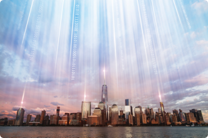 IP Network Optimization